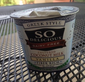 Non-dairy yogurt for tummy